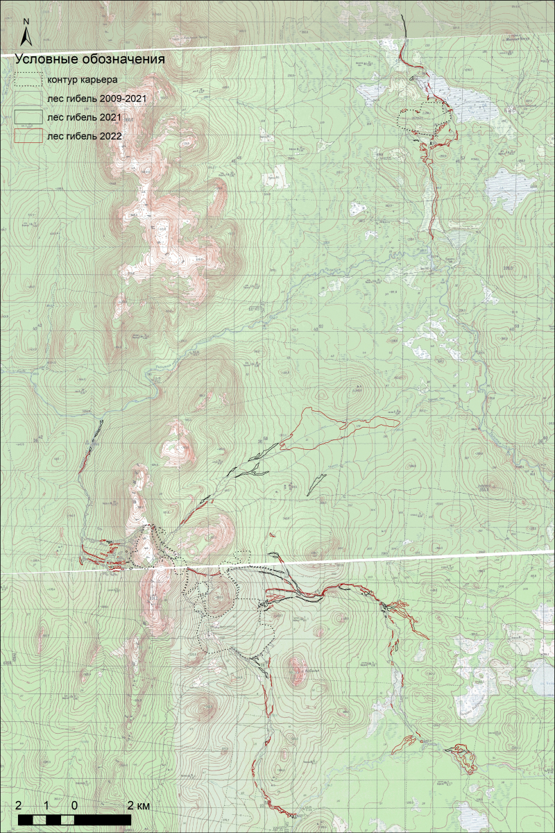 Участки погибшего леса на топографической карте